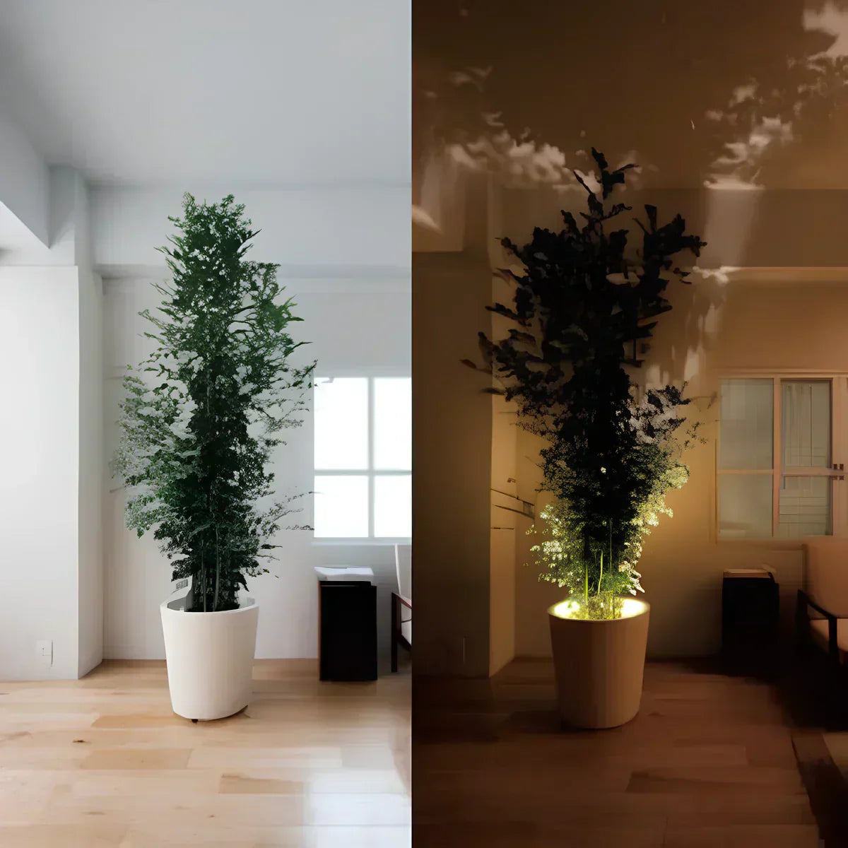 Wireless LED Spotlight - LumaSpot