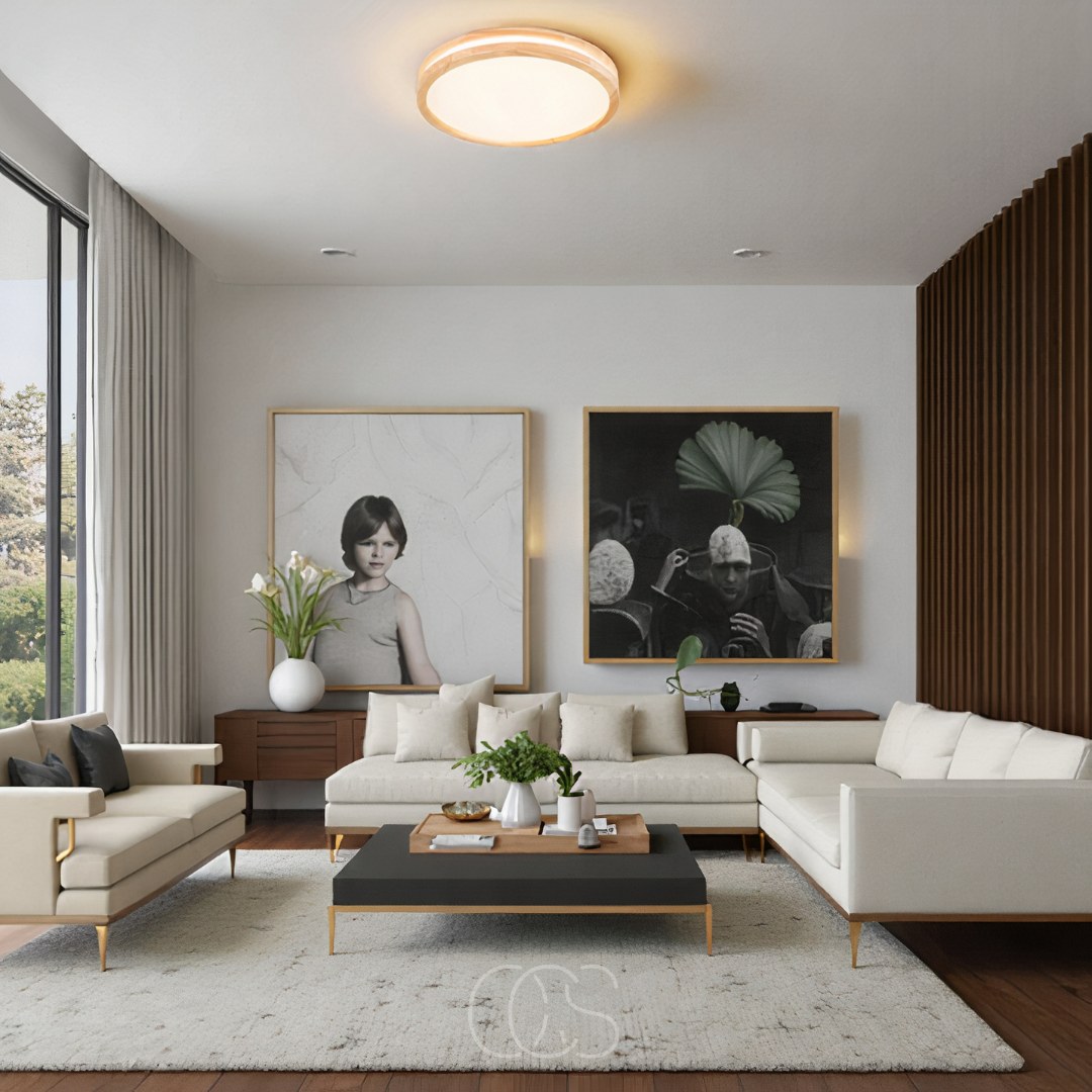 Vellina - Basic modern LED ceiling lamp
