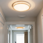 Vellina - Basic modern LED ceiling lamp