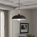 Vellina - Modern Matte Black Ceiling Lamp