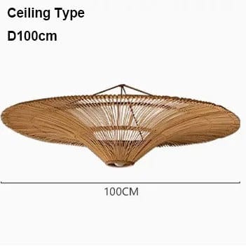 Liora Rattan Chandelier
